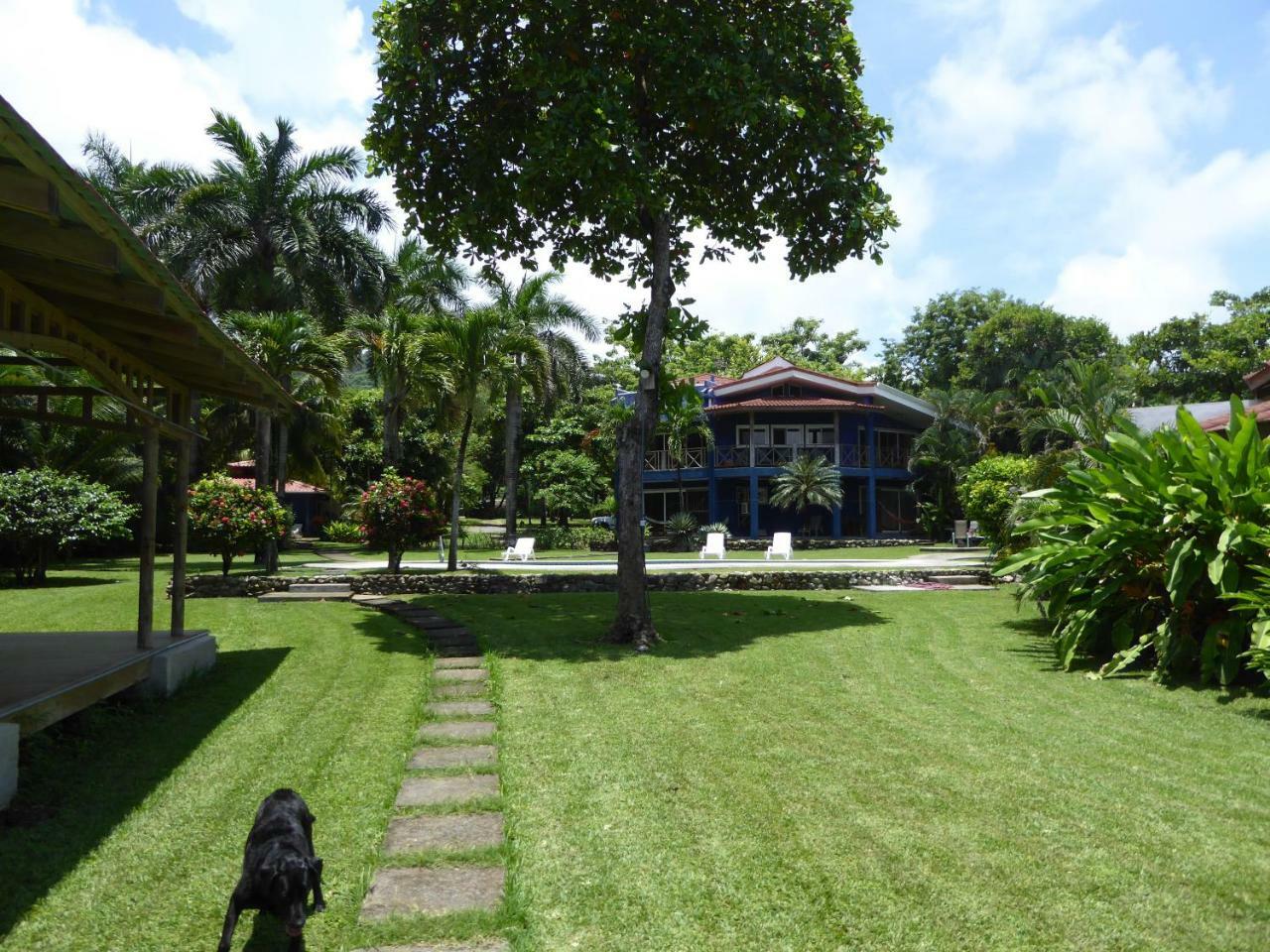 Hotel Casa Azul Playa Santa Teresa  Экстерьер фото